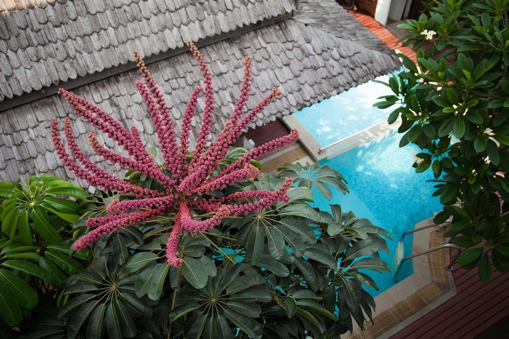 Charlie House Pin Klao Hotel Bangkok Exterior photo